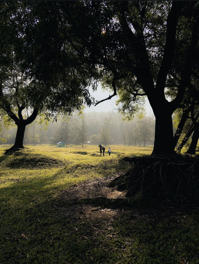 Kariyathumpara: Where Nature Meets Tranquility – Discover Kerala’s Best-Kept Secret