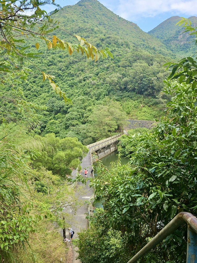 香港行山 – 蝴蝶飛舞+流水響聲 – 流水響和鶴藪水塘