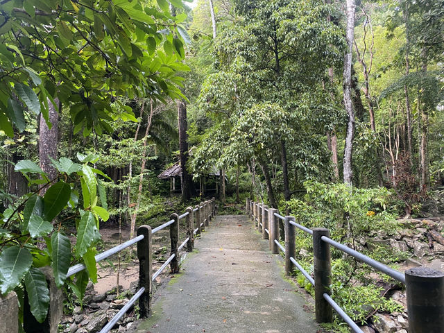 อุทยานแห่งชาติบูโด-สุไหงปาดี นราธิวาส