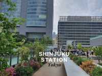 Shinjuku Station 🚞