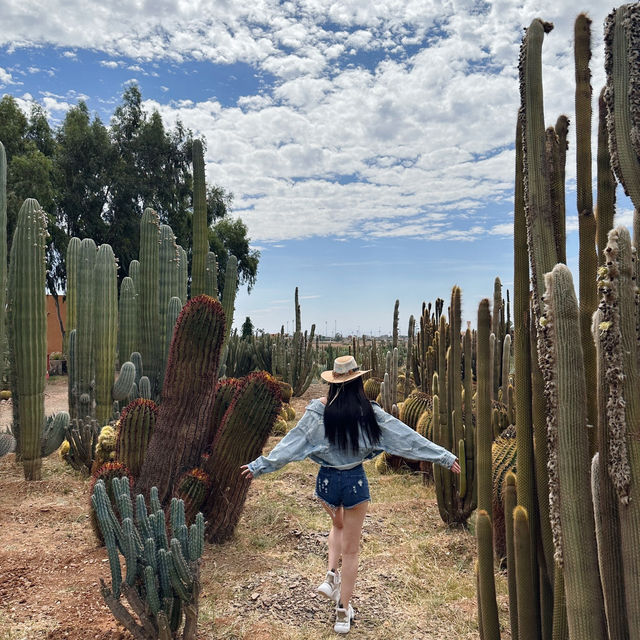Cactus Thiemann 🌵仙人掌園