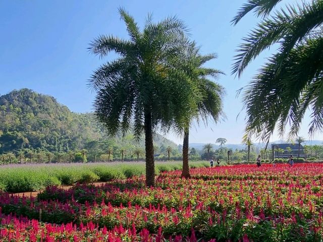 สวนดอกไม้ Hokkaido เขาใหญ่ 