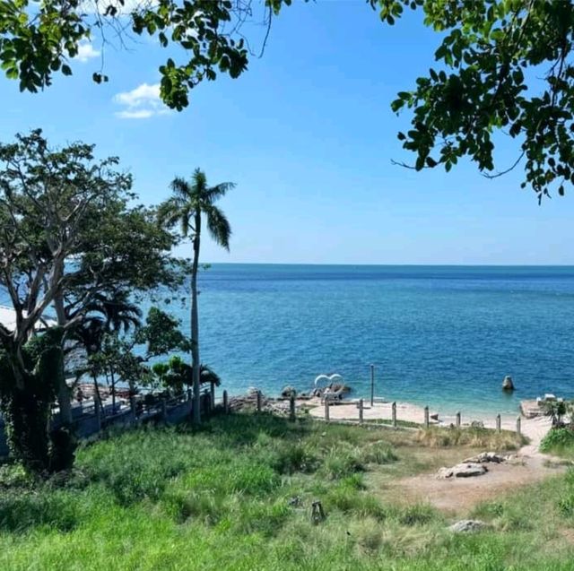 📸📸คาเฟ่เอาใจสายถ่ายรูป บรรยายกาศชิลว์