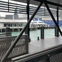【NZ】クルーズ船でデポンポートへ🚢