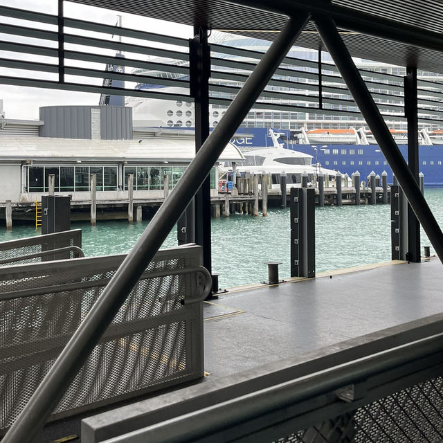 【NZ】クルーズ船でデポンポートへ🚢