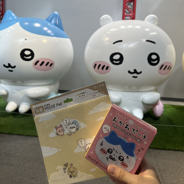 치이카와 좋아하는 분👋