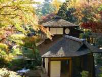 【神奈川県】近代の大実業家・原三渓が築いた日本庭園！