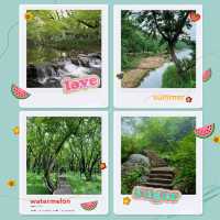 秀桐登山道：健行樂園 🏞️🌅