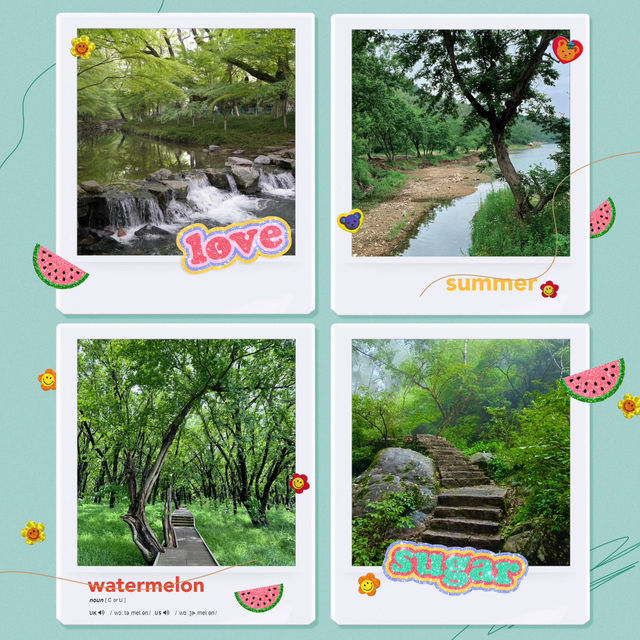 秀桐登山道：健行樂園 🏞️🌅