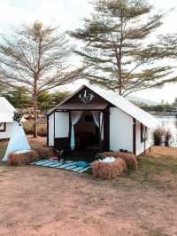 ไปนอนเต็นท์สุดชิค ท่ามกลางขุนเขาและดอกไม้⛺️🌸