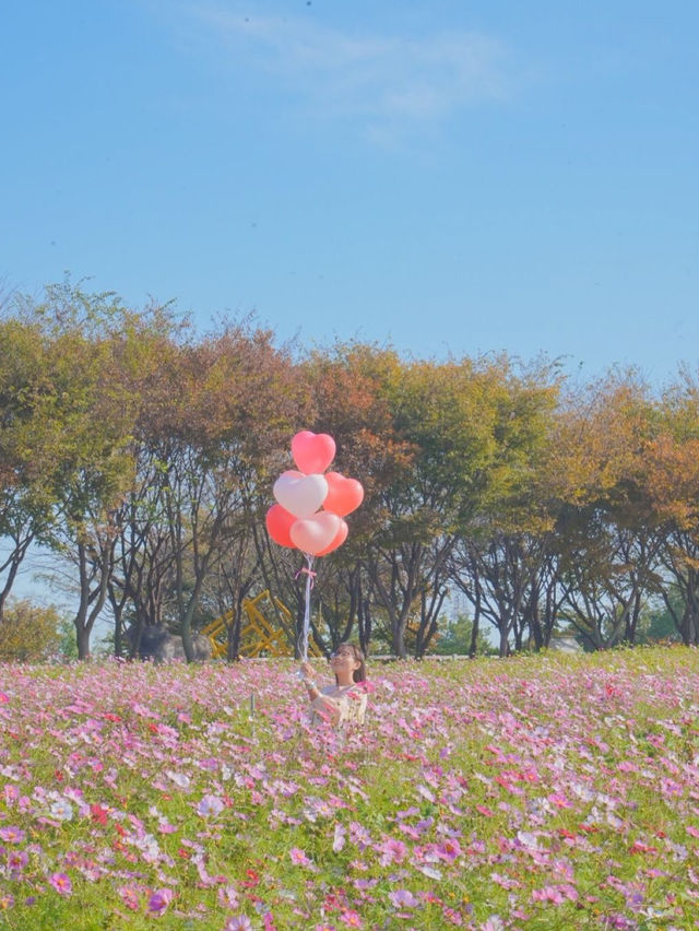 너무 행복했던 나의 분홍 빛 가을💖🌸🦄🎀