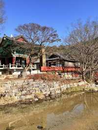 풍경이 너무 예쁜 공주 마곡사