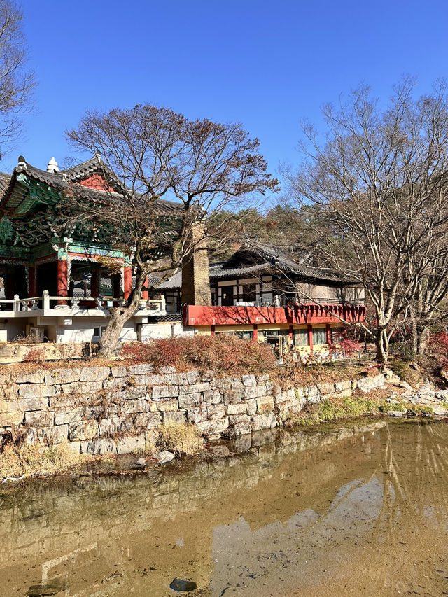풍경이 너무 예쁜 공주 마곡사