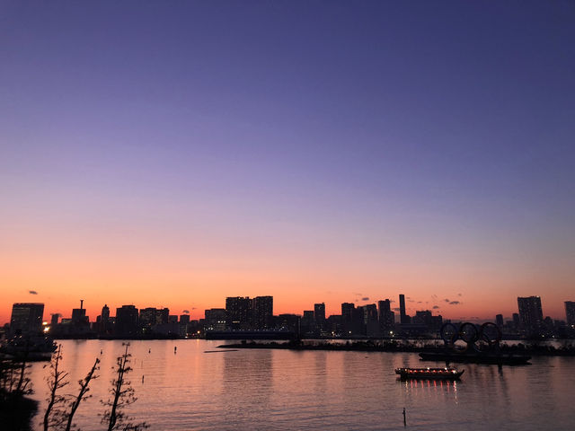 도쿄 야경을 볼 수 있는 곳🌃