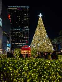 【ソウル／蚕室】毎年楽しみにしているクリスマスイルミネーション