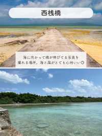 【竹富島】絶対行きたい竹富島のおすすめSPOT5選