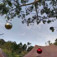 Luxury glamping on Xmas day