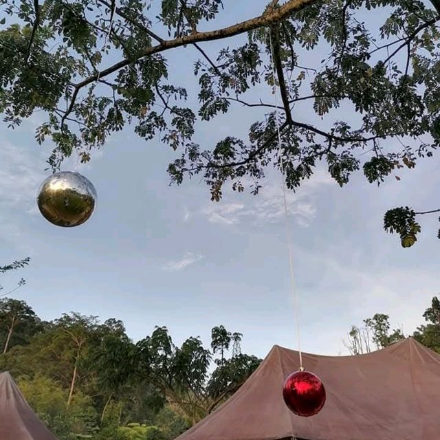 Luxury glamping on Xmas day