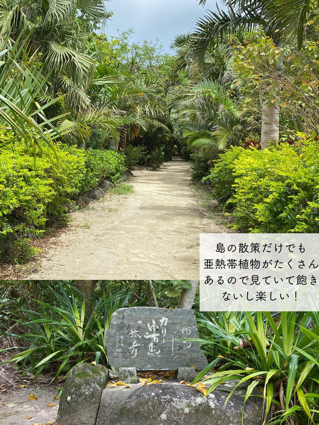 【由布島】西表島から水牛車に乗って行く！コンパクトな島を散策しよう