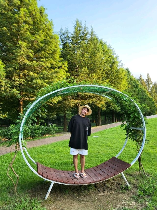 메타세콰이어와 맨발산책도 즐기는 담양여행지