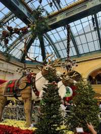 A Glamorous Christmas at the Bellagio: Las Vegas Sparkles Brighter
