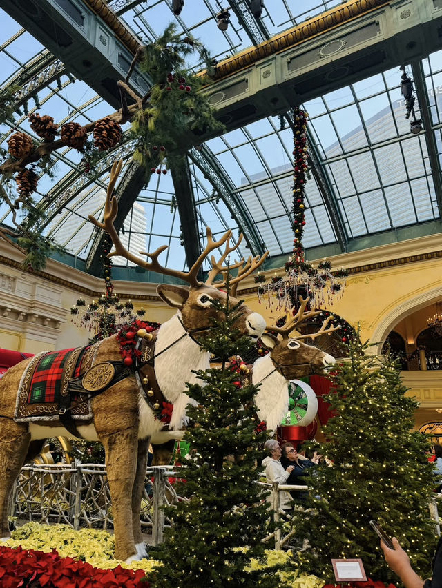A Glamorous Christmas at the Bellagio: Las Vegas Sparkles Brighter