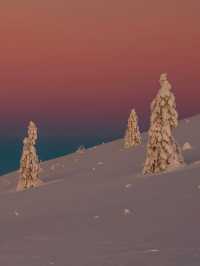 Falling in Love with the Black Forest in Winter 