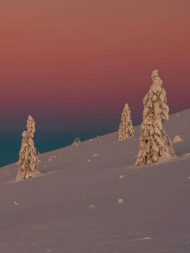 Falling in Love with the Black Forest in Winter 