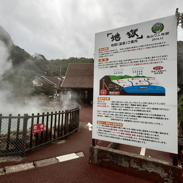 Beppu Hot Springs Hells Tour