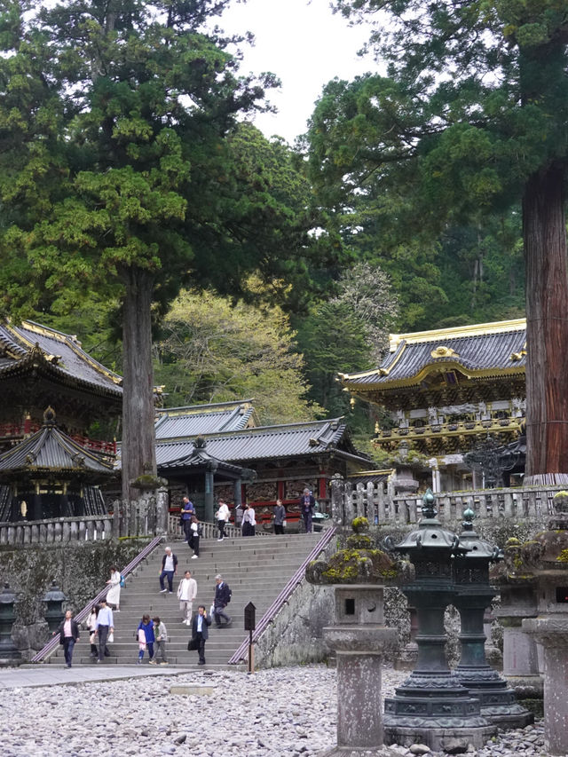 【日光東照宮】歴史と自然が織りなす絶景🇯🇵