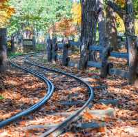 Nami Island: