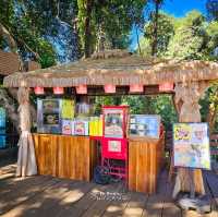 ไปเล่น zipline ที่น้ำตกตาดฟาน ประเทศลาว