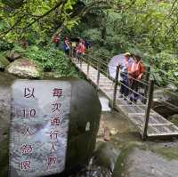 基隆的親水森林步道