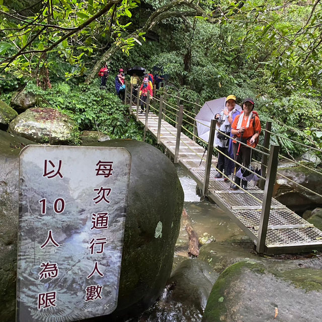 基隆的親水森林步道