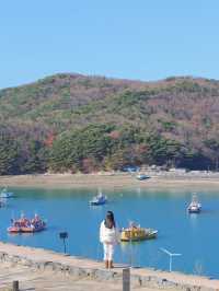 바다부터 체험까지, 겨울에 더 즐거운 보령여행🌊❄️🩵