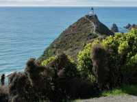 Nugget Point Lighthouse, Otago, NZ