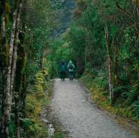 Journey to the Glacier: Exploring Robert’s Point Track🏔️🌿