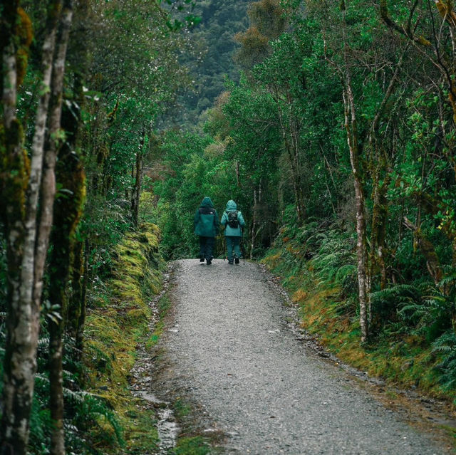 Journey to the Glacier: Exploring Robert’s Point Track🏔️🌿