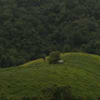 ไร่ลุงลอน 🍃🏕️ อ.ร้องกวาง จ.แพร่  😀