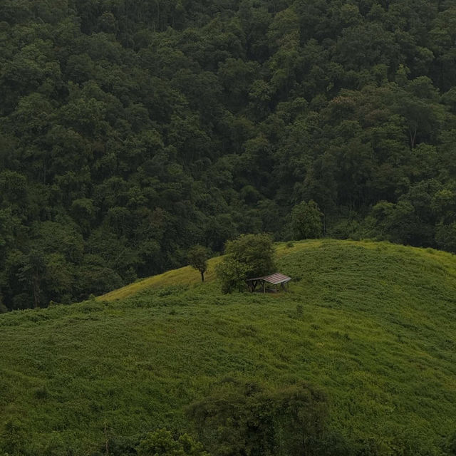 ไร่ลุงลอน 🍃🏕️ อ.ร้องกวาง จ.แพร่  😀