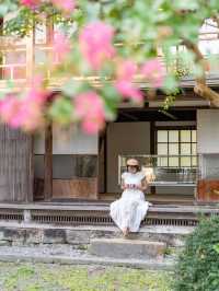  【大分県/由布市】ノスタルジックな穴場建築