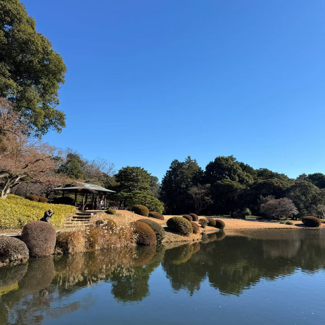 新六月公園：夢幻中的日式園林！🌸