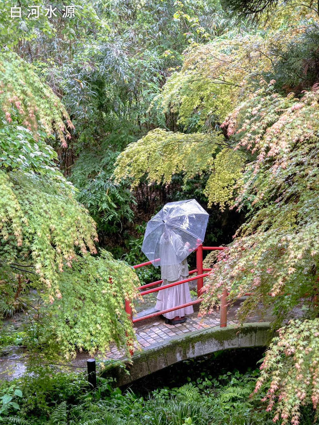 【阿蘇のおすすめグルメとおすすめスポット　📍KUMAMOTO•ASO】