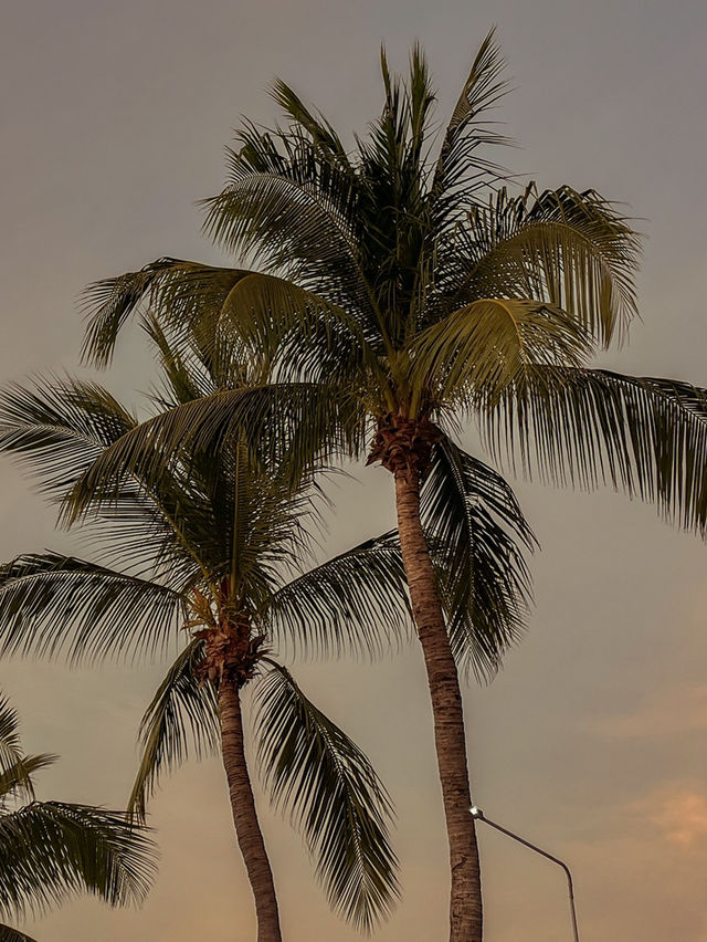 ฮีลใจทุกครั้งที่ได้มาบางแสน 🌅🧡🏖️