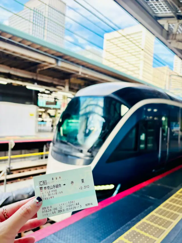 【東京】東京站出發SAPHIR踴子觀光列車：東京至伊豆的豪華旅程