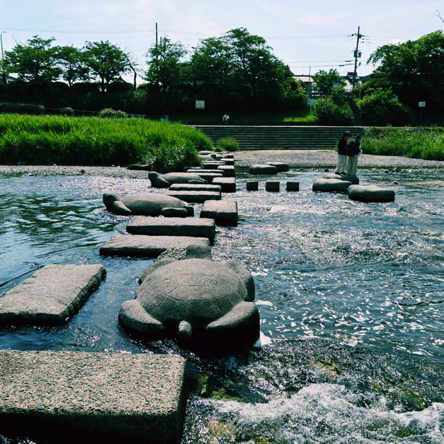  京都鴨川午間遊記：懶洋洋的舒適時光🏖️