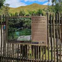 My Enchanting Encounter with Putaruru Blue Springs