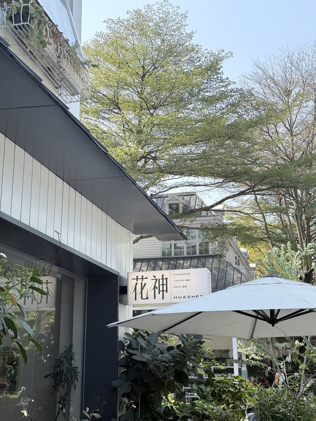 深圳探店☕️超靚韓式花系Coffee Shop🌸🌼