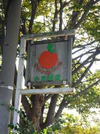 【長野】話題の新スポット🍎リンゴ農園×ピクニック🧺