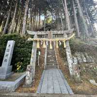 ☾︎長崎☽︎ 全国に点在する月讀神社の総本社